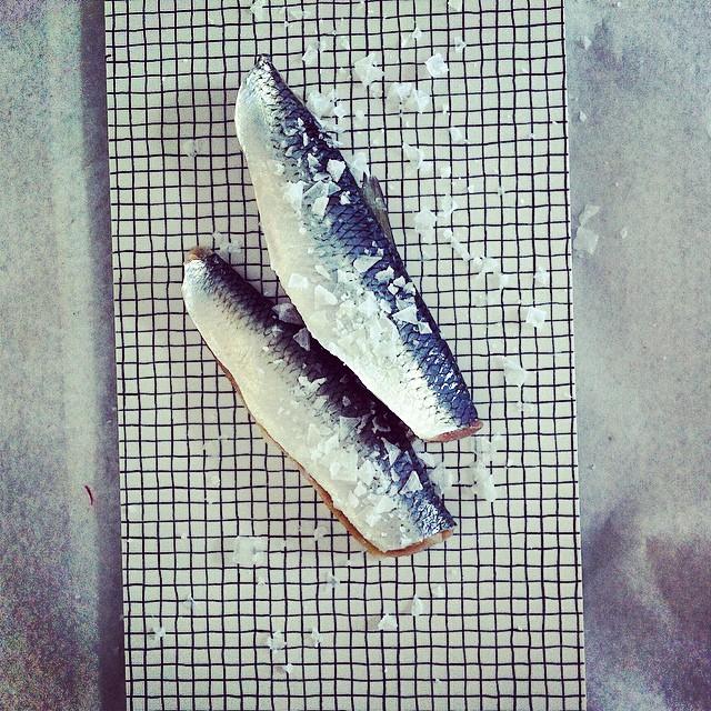 Salt sillfilé 1 Salt sillfilé