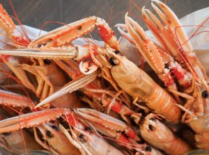 gratinerade havskräftor