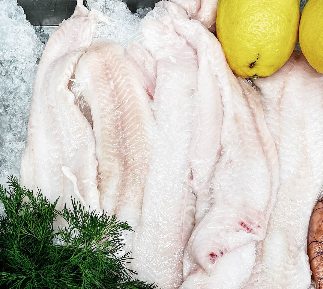 torskfile Grillad Seabream