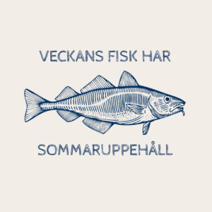 Veckans Fisk